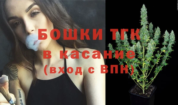 прущие крисы Бородино