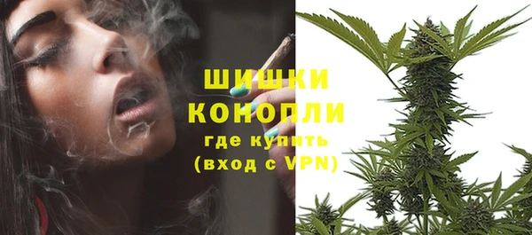 прущие крисы Бородино