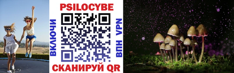 Галлюциногенные грибы Psilocybe  Гороховец 